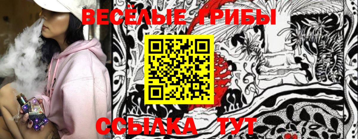 Кизилюрт  Псилоцибиновые грибы Psilocybine cubensis  Вход с VPN  Галлюциногенные грибы Psilocybe 