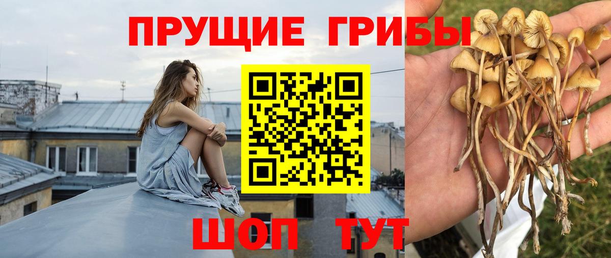 Псилоцибиновые грибы мухоморы Кизилюрт